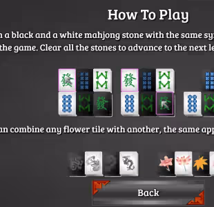 Black and White Mahjong 3 Gameplay Images 2