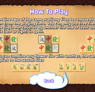 China Mahjong Gameplay Images 2