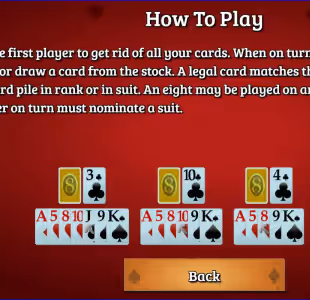 Crazy Eights Gameplay Images 2