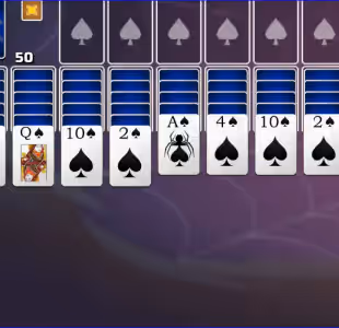 Spider Solitaire 1 suit Gameplay Images 3