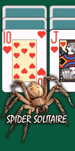 play Spider Solitaire by Classic Solitaire for free