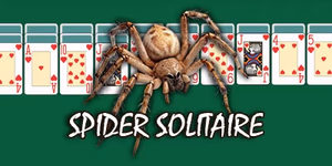play Spider Solitaire by Classic Solitaire for free